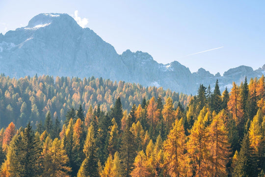 biodiversità autunno