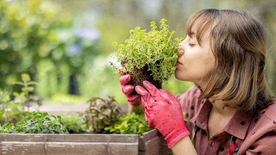 Praticare benessere e bellezza con la Garden Therapy