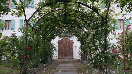Il roseto di Seravella