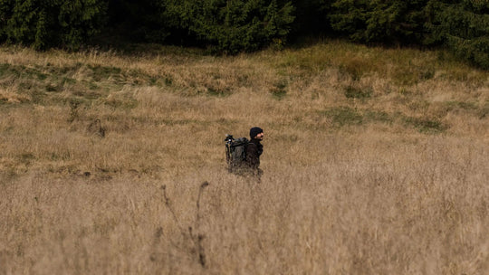 Simone Giosso, il fotografo dei lupi